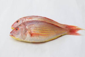 Rani Fish